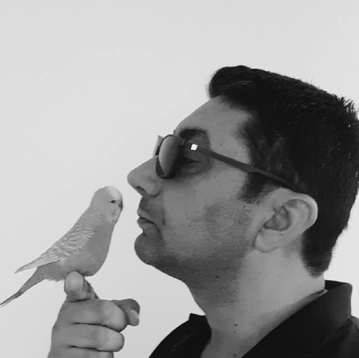 Erkan Gülen