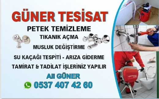 Ali Aligüner