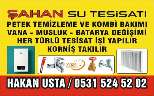 Hakan Şahan
