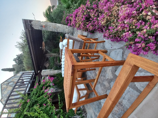 Muammet Şahin